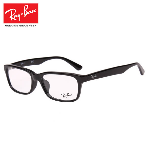 RayBan雷朋眼镜框近视眼镜男女潮 全框板材黑框眼睛架镜RB5296-D